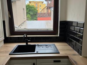 Pronájem bytu 2+kk, Chomutov, Revoluční, 55 m2