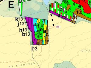 Dražba lesa, Trhové Sviny, 2498 m2