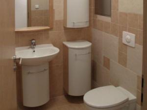 Pronájem bytu 2+kk, Ostrava - Slezská Ostrava, Michálkovická, 72 m2