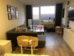 Pronájem bytu 1+1, Olomouc - Nová Ulice, Pionýrská, 45 m2