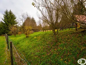 Prodej pozemku pro bydlení, Petrovice II - Staré Nespeřice, 1781 m2