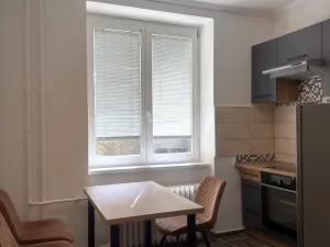 Pronájem bytu 2+1, Karlovy Vary, K. Čapka, 57 m2