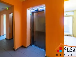 Prodej bytu 1+kk, Orlová - Lutyně, Osvobození, 31 m2
