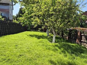 Prodej vícegeneračního domu, Česká Lípa, U Šporky, 358 m2