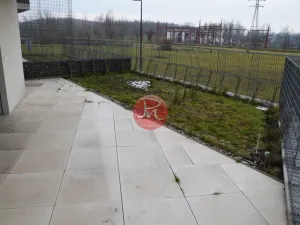 Pronájem bytu 2+kk, Ostrava, F. X. Riepla, 53 m2