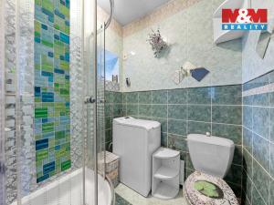 Prodej chalupy, Děkov, 250 m2