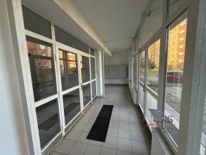 Prodej bytu 1+kk, Praha - Záběhlice, Narcisová, 27 m2
