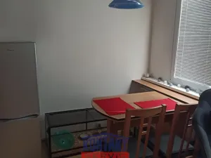 Pronájem bytu 1+1, České Budějovice, J. Buděšínského, 38 m2