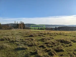 Prodej pozemku pro bydlení, Svinaře, 7542 m2