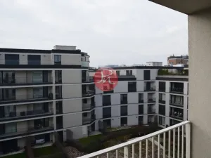 Pronájem bytu 2+kk, Ostrava, F. X. Riepla, 60 m2