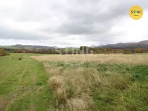 Prodej louky, Hostašovice, 2457 m2