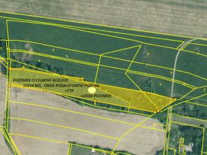 Prodej komerčního pozemku, Homole, 10254 m2