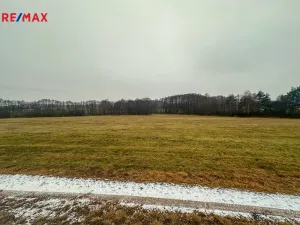 Prodej pole, Radětice, 30733 m2