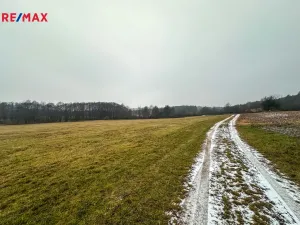 Prodej pole, Radětice, 30733 m2