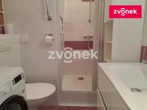 Pronájem bytu 1+1, Zlín, Česká, 33 m2