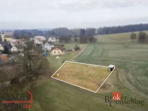 Prodej pozemku pro bydlení, Rybná nad Zdobnicí, 1000 m2