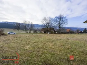 Prodej pozemku pro bydlení, Rybná nad Zdobnicí, 1000 m2