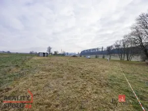 Prodej pozemku pro bydlení, Rybná nad Zdobnicí, 1000 m2