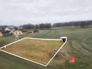 Prodej pozemku pro bydlení, Rybná nad Zdobnicí, 1000 m2