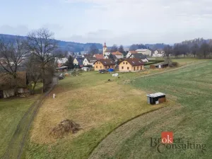 Prodej pozemku pro bydlení, Rybná nad Zdobnicí, 1000 m2