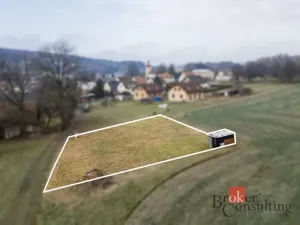 Prodej pozemku pro bydlení, Rybná nad Zdobnicí, 1000 m2