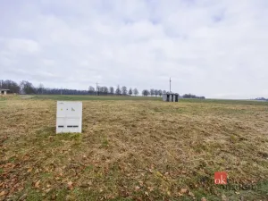 Prodej pozemku pro bydlení, Rybná nad Zdobnicí, 1000 m2