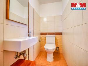 Pronájem bytu 3+kk, Plzeň - Severní Předměstí, Brněnská, 104 m2