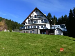 Prodej bytu 1+1, Rokytnice nad Jizerou - Rokytno, 28 m2