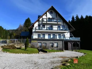 Prodej bytu 1+1, Rokytnice nad Jizerou - Rokytno, 28 m2