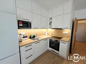 Pronájem bytu 1+kk, Olomouc, Loudova, 49 m2