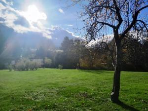 Prodej pozemku pro bydlení, Jeseník nad Odrou, 700 m2