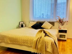 Prodej bytu 1+1, Hradec Králové, Milady Horákové, 47 m2