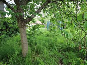 Prodej rodinného domu, Podlesí, 150 m2