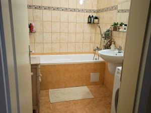 Prodej bytu 1+1, Ústí nad Labem - Bukov, Na Kohoutě, 39 m2