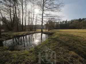 Prodej zemědělské usedlosti, Slabčice, 109 m2