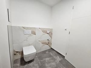 Pronájem bytu 1+kk, Jablonec nad Nisou, Krkonošská, 62 m2