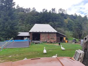 Prodej rodinného domu, Zátor, 233 m2