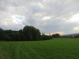 Dražba pole, Počátky, 11945 m2