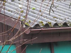 Dražba chaty, Kosova Hora, 10 m2