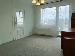 Pronájem bytu 1+1, Milevsko, B. Němcové, 42 m2