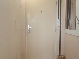 Pronájem bytu 1+1, Milevsko, B. Němcové, 42 m2