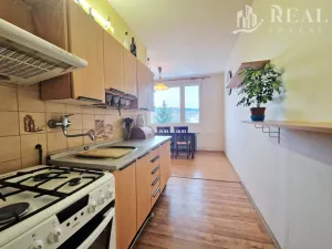 Prodej bytu 2+1, Meziboří, Nad parkem, 61 m2