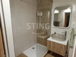 Pronájem bytu 1+1, Olomouc - Hodolany, 36 m2