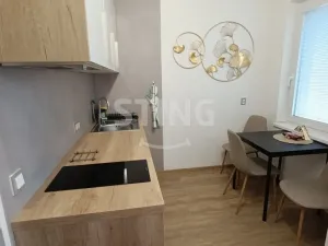 Pronájem bytu 1+1, Olomouc - Hodolany, 36 m2