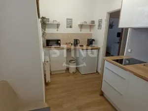 Pronájem bytu 1+1, Olomouc - Hodolany, 36 m2