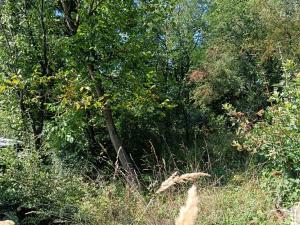 Prodej zahrady, Bojkovice, 1208 m2