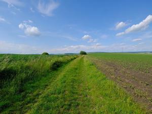 Prodej zahrady, Uherský Brod, 2032 m2