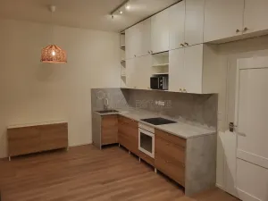 Pronájem bytu 1+kk, Ostrava - Moravská Ostrava, 28. října, 30 m2