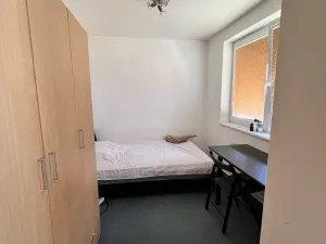 Pronájem bytu 1+1, Olomouc - Nová Ulice, Okružní, 26 m2