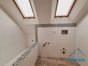 Prodej obchodního prostoru, Milovice - Benátecká Vrutice, 1080 m2